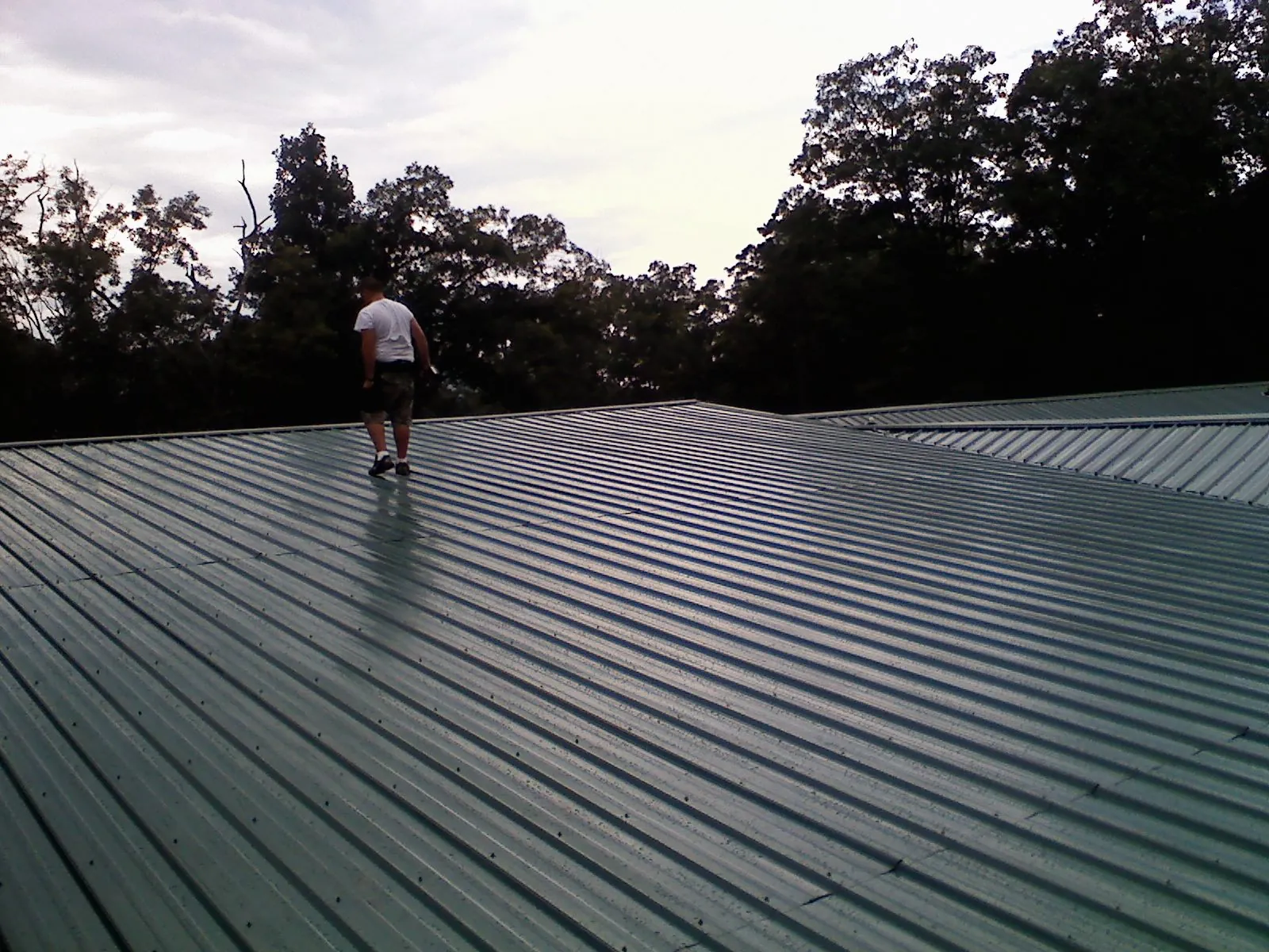 Roofer walking a wide expanse of new green metal roofing in Camino